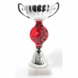 Chrome Bowl Red Pillar Trophy 20cm