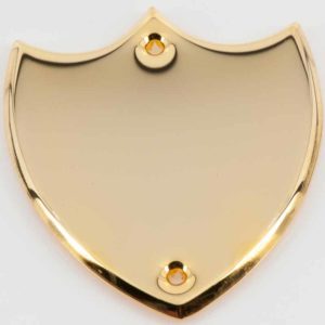 Gilt Record Shield 39.5x34.5mm